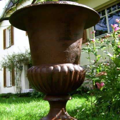 Amphore, großer französischer Pflanzkübel, Pflanzgefäß, Blumenamphore H 67cm*