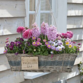 Balkonblumen "Romantischer Frühlingstraum", 10 Pflanzen, bunt*