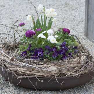 Balkonblumen "Vielseitige Blütenfreude", 10 Pflanzen, bunt*