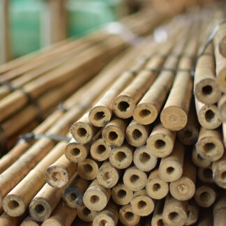 Bambusrohre ø16/18mm 210cm pro 100*
