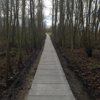 Betonpflaster Betonfliesen Betonplatten grau 120x80x12cm*