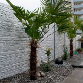 Betonzaun Fencestone grau 200x193cm doppelseitig*