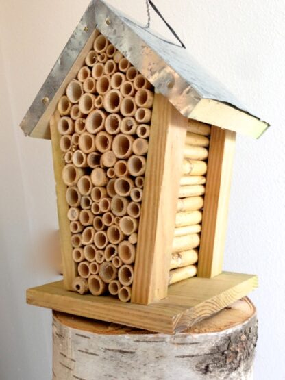 Bienenhotel zur Beobachtung von Bienen, Bienenhaus für Biene oder Insektenhotel*