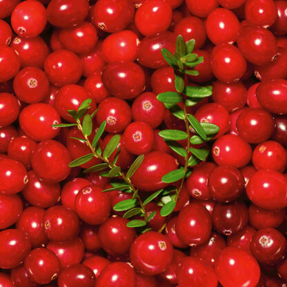 Bio Cranberry*