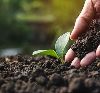 Blumenerde Topferde 1350kg*