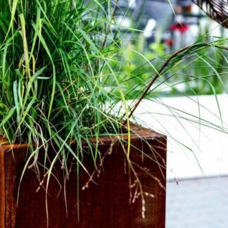 Blumenkasten Cortenstahl Pflanzkasten viereckig 100x100cm*