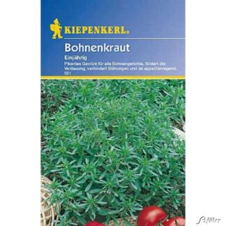 Bohnenkraut, einjährig Lieferform: Portionssaatgut*