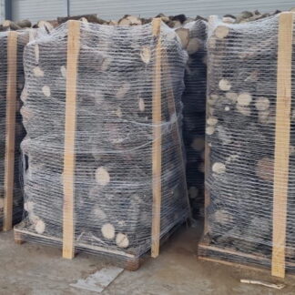 Brennholz Kaminholz Hainbuche (800kg)*