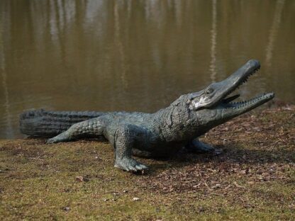 Bronzefigur Krokodil als Wasserspeier*