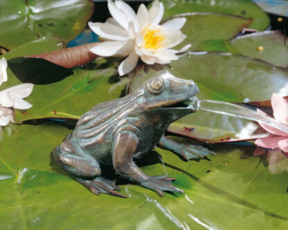 Bronzeskulptur Frosch, wasserspeiend*