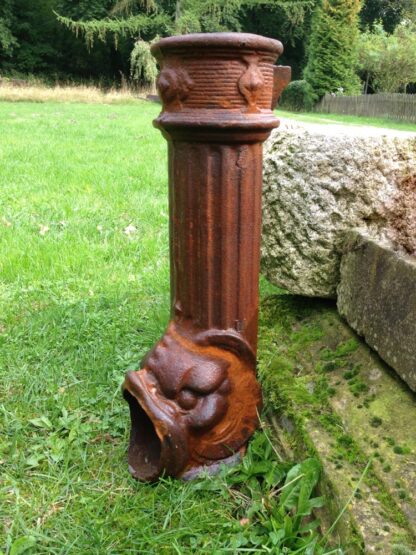 Fallrohr Auslauf, Wasser-Speier Fisch, Ablauf/Einlauf Dachrinne u. Brunnen*