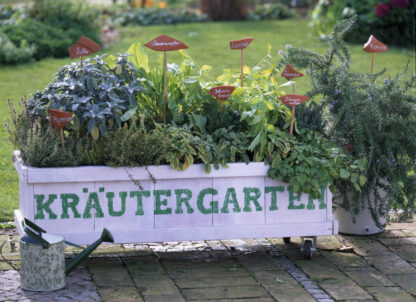 Gartenkräuter "Großer Kräutergarten", 12 Pflanzen*