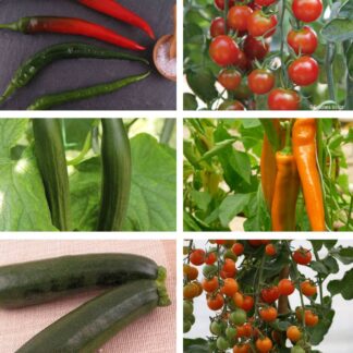 Gemüse-Set "Bunter Gemüsegarten", 6 Pflanzen*