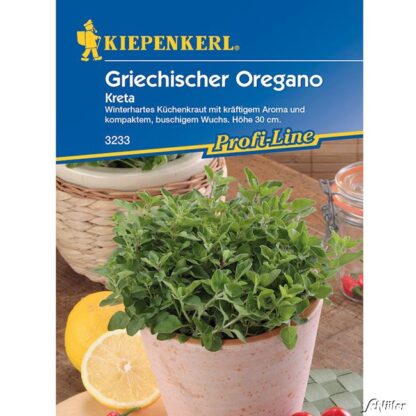 Griechischer Oregano 'Kreta' Lieferform: Portionssaatgut*