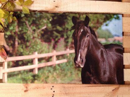 Haustür-Matte mit Pferd, Fußmatte, Matte - schmutzaufnehmende Türmatte mit Bild*