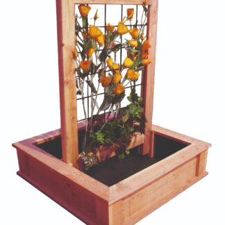 Hochbeet zur Kultivierung*