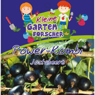 Jostabeere 'Power-Kombi' Kleine Gartenforscher Liefergröße: 30 - 40 cm*