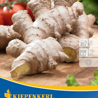 Kiepenkerl Ingwer*