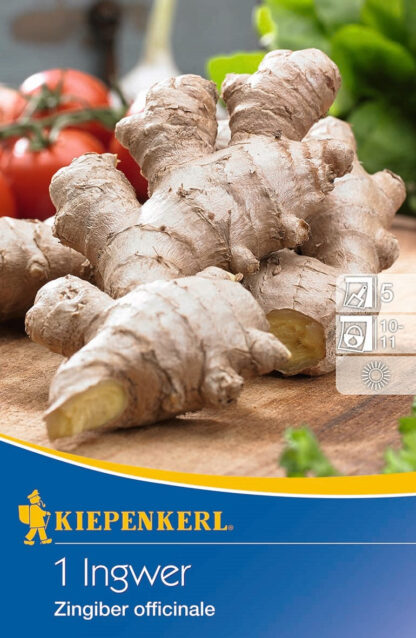 Kiepenkerl Ingwer*