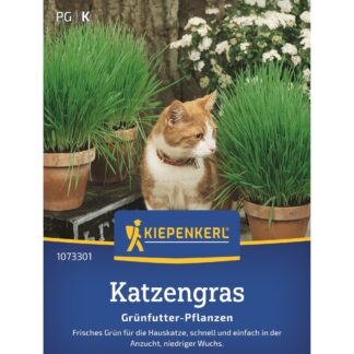 Kiepenkerl Katzengras Frischgrün Mischung*
