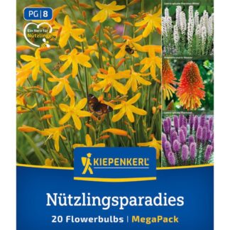 Kiepenkerl Mega-Pack Blumenzwiebelmischung 'Nützlingsparadies', 20 Zwiebeln, 20 Zwiebeln, bunt*