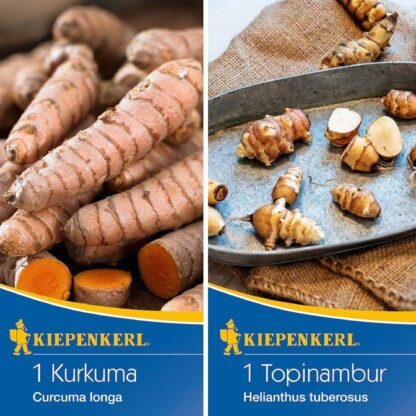 Kiepenkerl Saatgut-Set "Aromatische Wurzelgewächse", 2 x Saatgut*