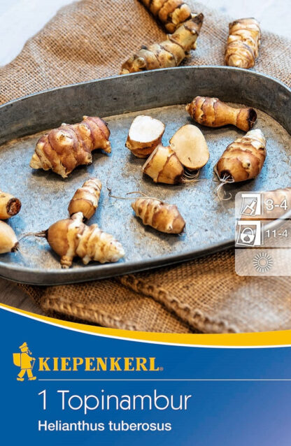 Kiepenkerl Topinambur*