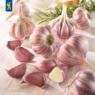 Kiepenkerl Winterknoblauch 'Germidour', 3 Zwiebeln, 3 Zwiebeln*