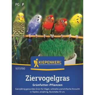 Kiepenkerl Ziervogelgras Frischgrün Mischung*
