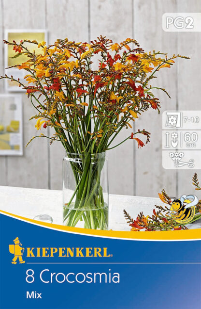 Kleinblumige Crocosmia Mischung, 8 Zwiebeln, 8 Zwiebeln, bunt*