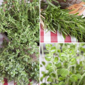 Kräuter-Set "Italia", 3 Pflanzen*