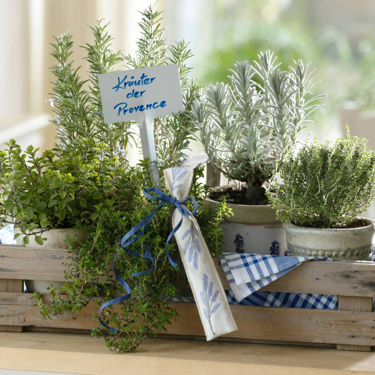 Küchenkräuter "Kräuter der Provence", 6 Pflanzen*