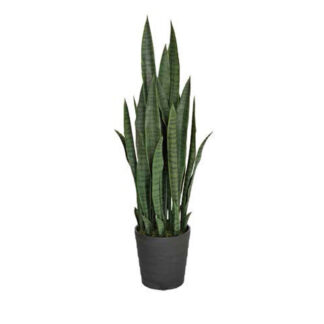 Kunstpflanzen Sansevieria 105cm*