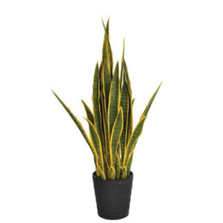 Kunstpflanzen Sansevieria bicolor 105cm*