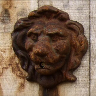 Löwenkopf Wasser Auslauf für Wandbrunnen - Brunnen - Dekoration Wand Speier*