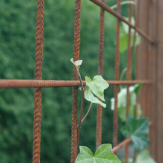 Mattenzaun Betonstahlmatten Baustahlmatten rost 2x3m 5/100mm*