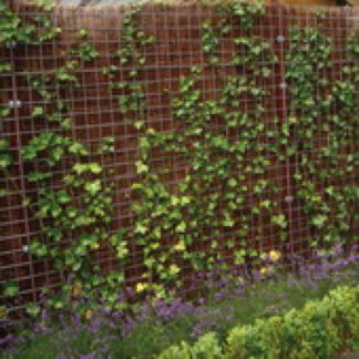 Mattenzaun Betonstahlmatten verzinkt 180x180cm 5/150mm*