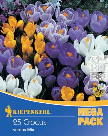 Mega-Pack "Gartenkrokusmischung", 25 Zwiebeln, bunt*