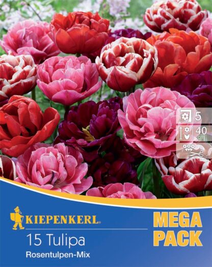 Mega-Pack "Gefüllte späte Tulpen Rosentulpen-Mischung", 15 Zwiebeln, bunt*