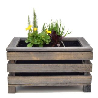 Miniteich mit Kiste, 4 Pflanzen, 4 Pflanzen + Kiste + Wasserschale, bunt*