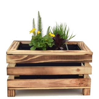 Miniteich mit Kiste, 4 Pflanzen, 4 Pflanzen + Kiste + Wasserschale, bunt*