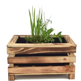 Miniteich mit Kiste "Starter Set", 4 Pflanzen, 4 Pflanzen + Kiste + Wasserschale, bunt*