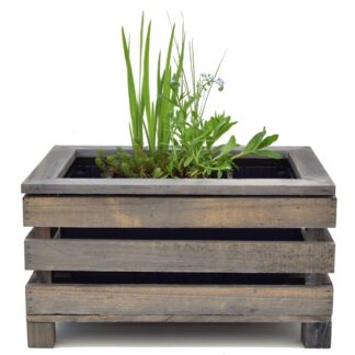 Miniteich mit Kiste "Starter Set", 4 Pflanzen, 4 Pflanzen + Kiste + Wasserschale, bunt*