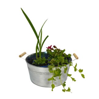 Miniteich mit Zinkwanne "Bienenparadies am Teich", 4 Pflanzen, Pflanzkorb, Zinkwanne, bunt*