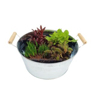 Miniteich mit Zinkwanne "Starter Set", 4 Pflanzen, Pflanzkorb, Zinkwanne, bunt*
