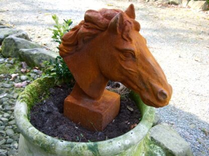 Pferdekopf Skulptur für Pfosten und Mauerpfeiler Gartendeko Pferd  Eisen-Rost*