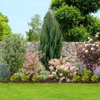 Pflanzen-Set "Mediterraner Garten", 20 Pflanzen, 20 Pflanzen*