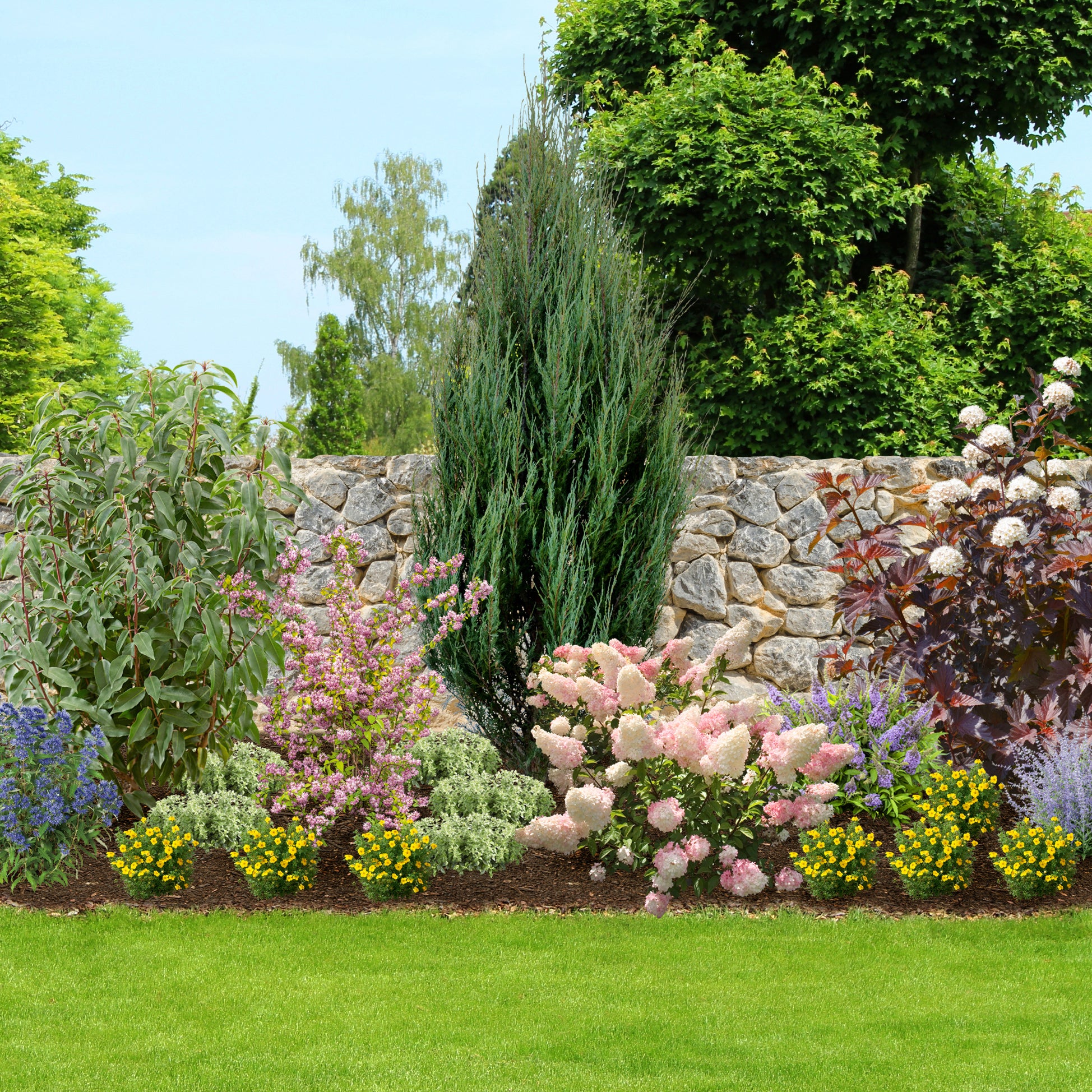 Pflanzen-Set "Mediterraner Garten", 20 Pflanzen, 20 Pflanzen*