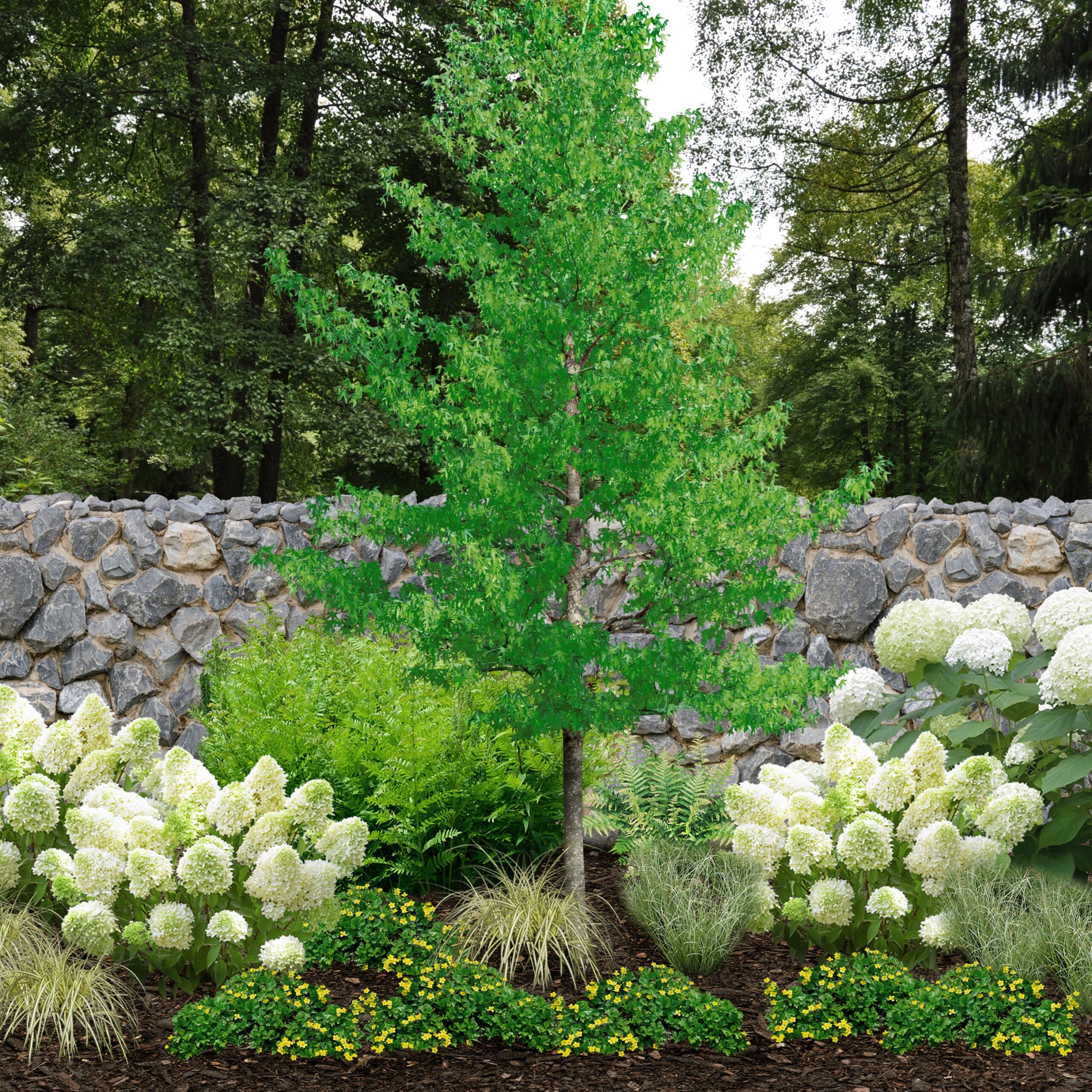 Pflanzen-Set “Vielfalt für halbschattige Gartenecken", 18 Pflanzen, 18 Pflanzen*