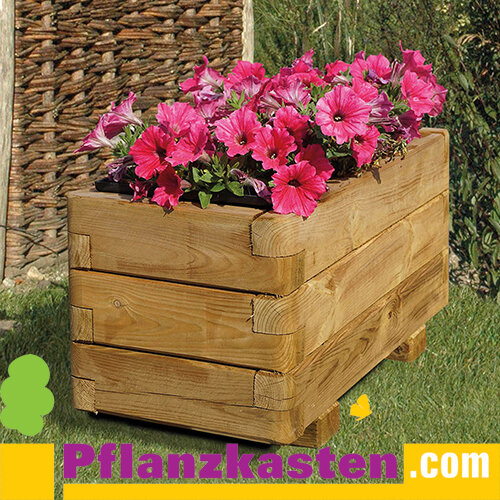 Pflanzkasten 61x29x31,5cm*